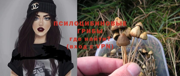 прущий лед Тында