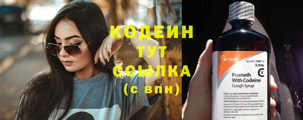 хмурый Инта