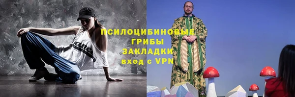 хмурый Инта