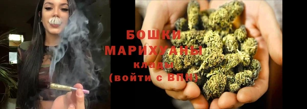хмурый Инта