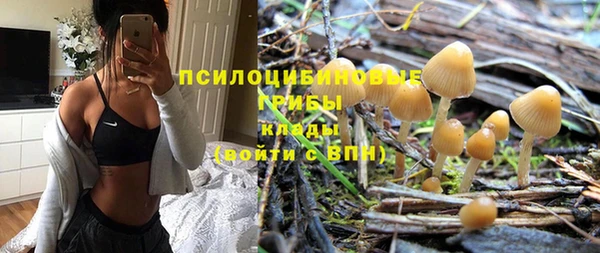 хмурый Инта