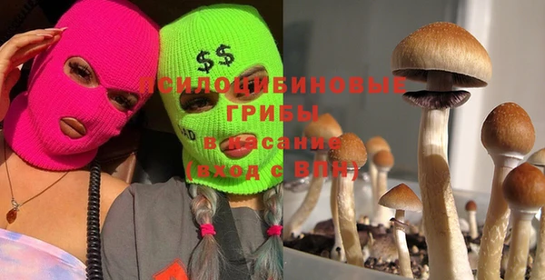 не бодяженный Иннополис