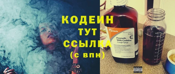 хмурый Инта